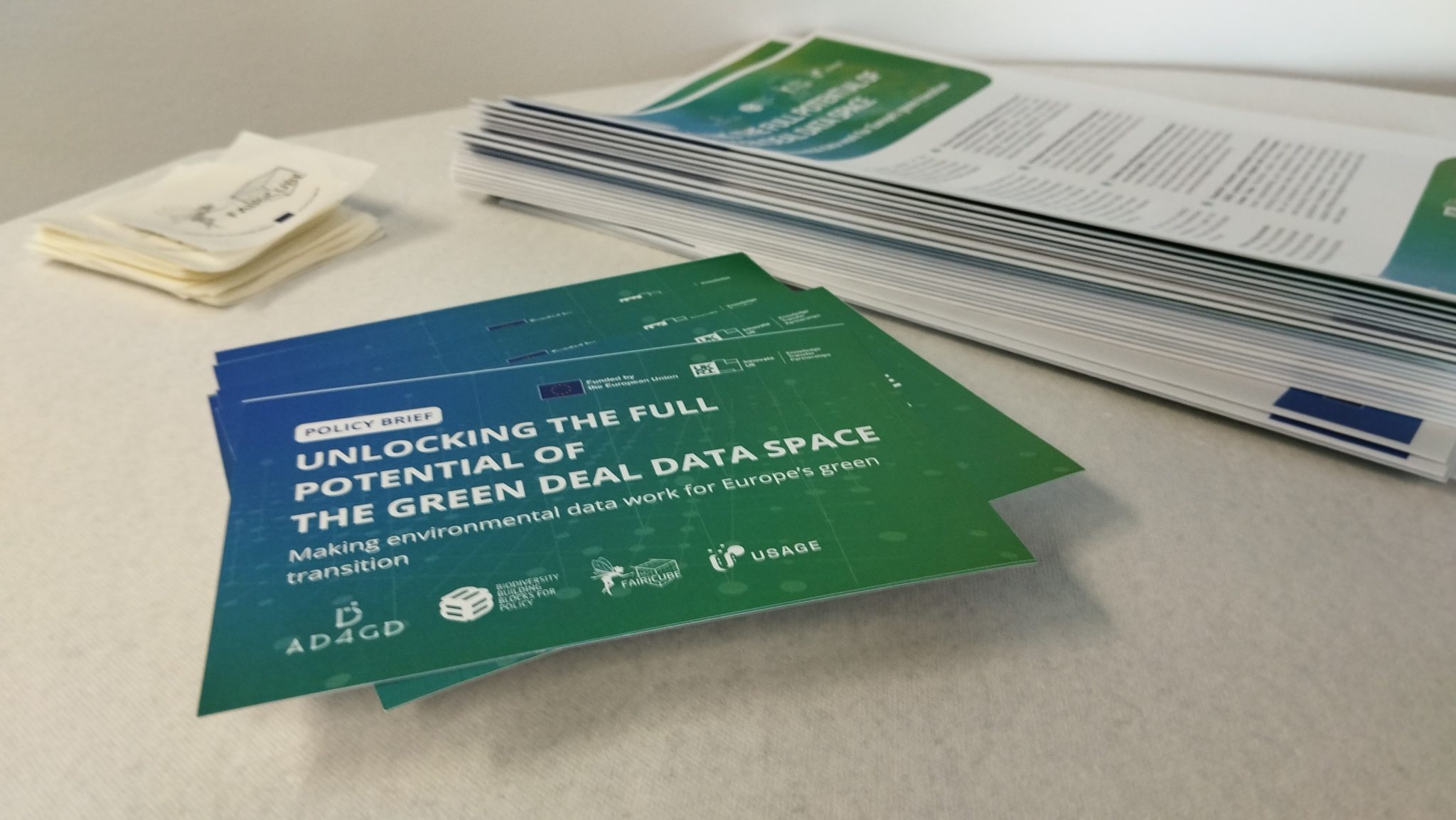 Enhancing environmental data sharing: Policy brief Recommendations on Managing Data in the Green Deal Data Space